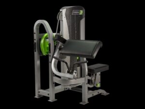 hybrid-arm-curl-800x600_2x