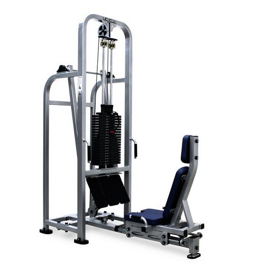 seated_leg_press_pe-225